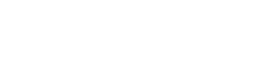 n8nlogo